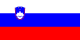 슬로베니 flag