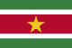 수리남 flag