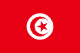 튀니지 flag